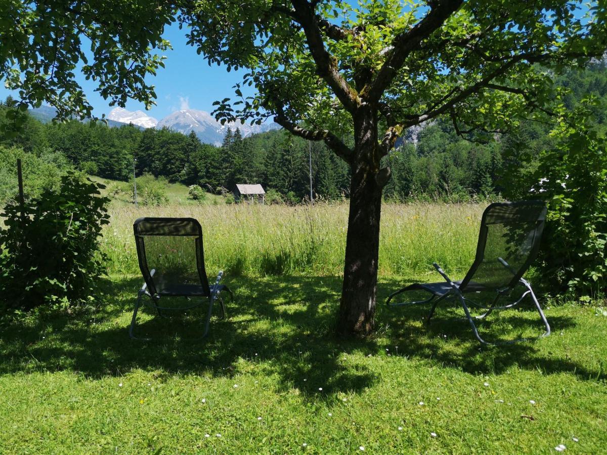 Apartmaji Prezelj Бохинь Экстерьер фото